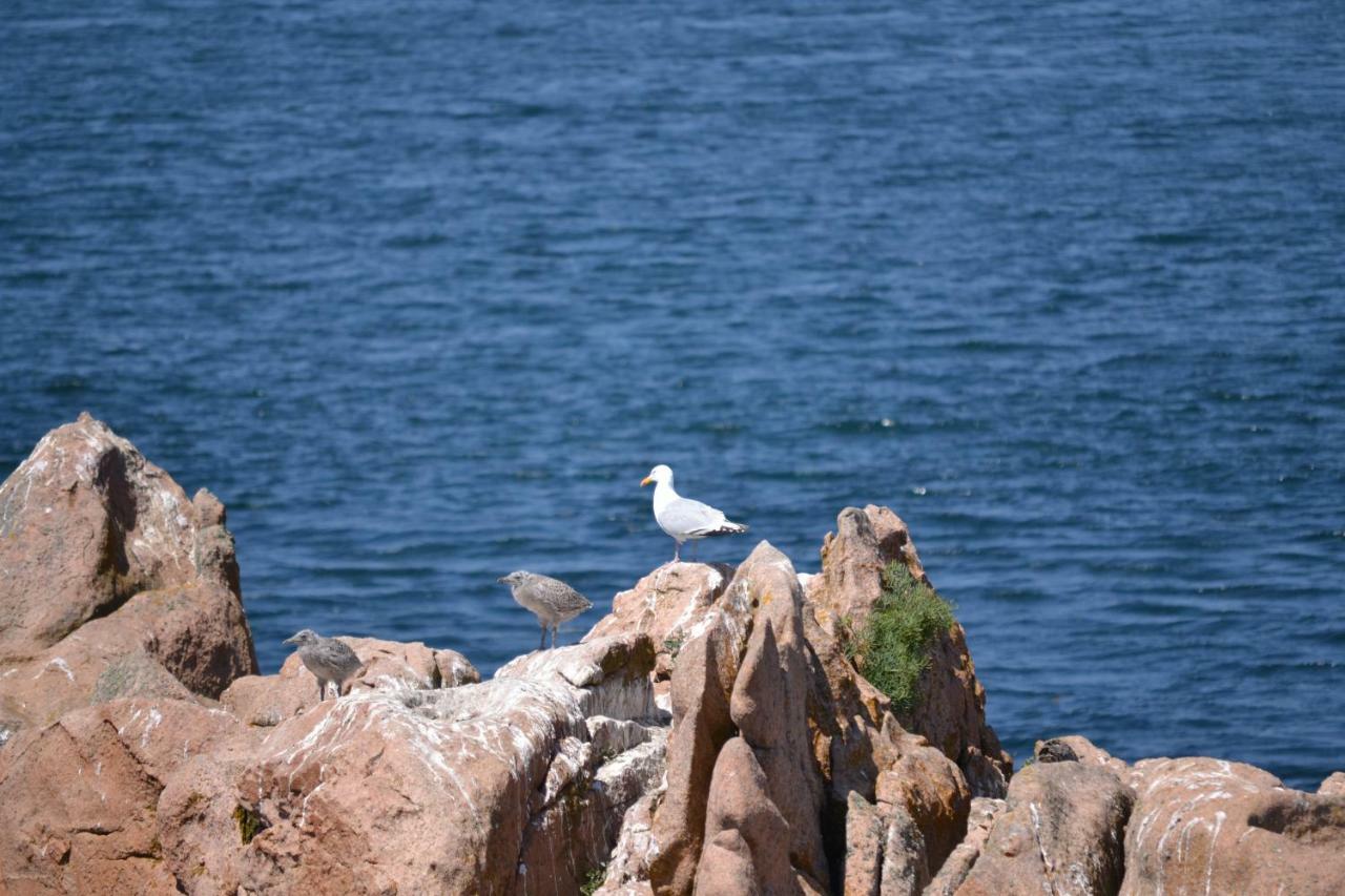 Gite Du Port Sur La Presqu'Ile De Lezardrieux ภายนอก รูปภาพ